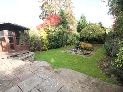 Picture 20